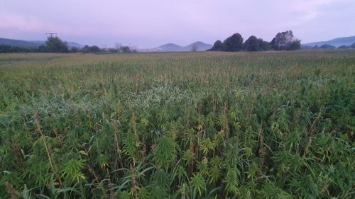20200817_055909